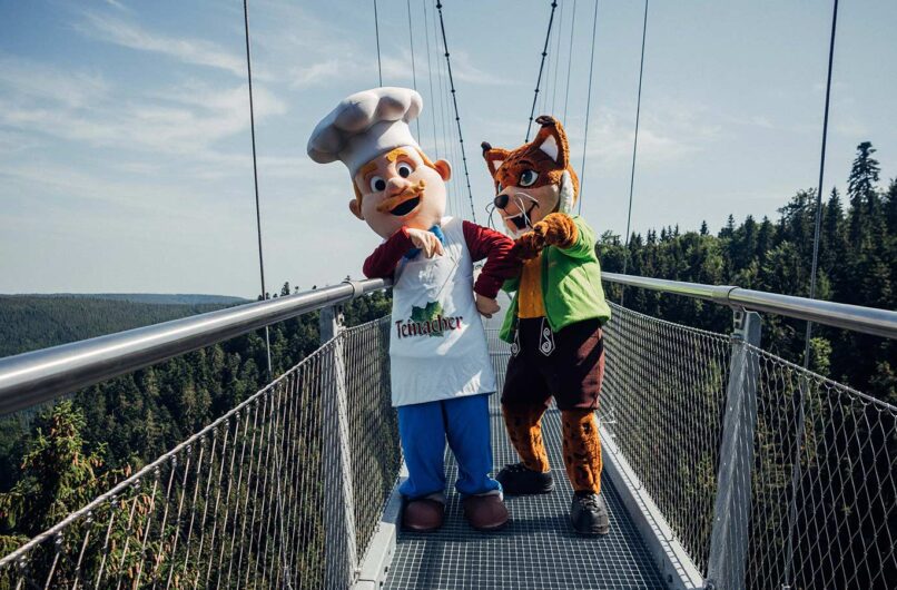 WILDLINE in Bad Wildbad